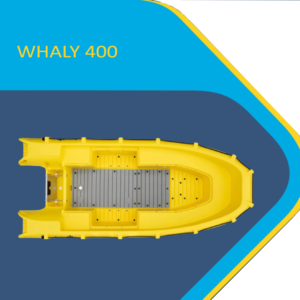 Perahu Fiber Whaly 400